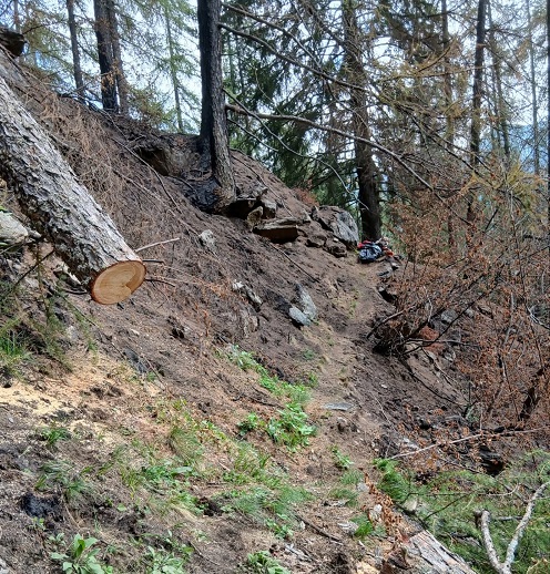 Ronco Canavese, riapre il sentiero Nivolastro-Andorina dopo il devastante incendio del mese di luglio